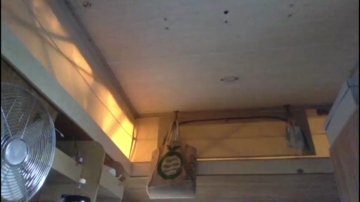 Nezzey  22-11-2021 video goodvibes